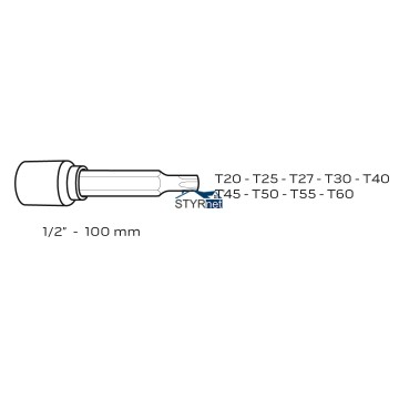 Końcówki Torx na nasadce 100 mm, zestaw 9 szt.